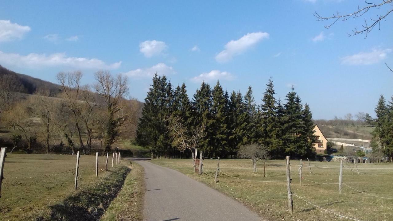 Le Nid De Birsa * Boersch